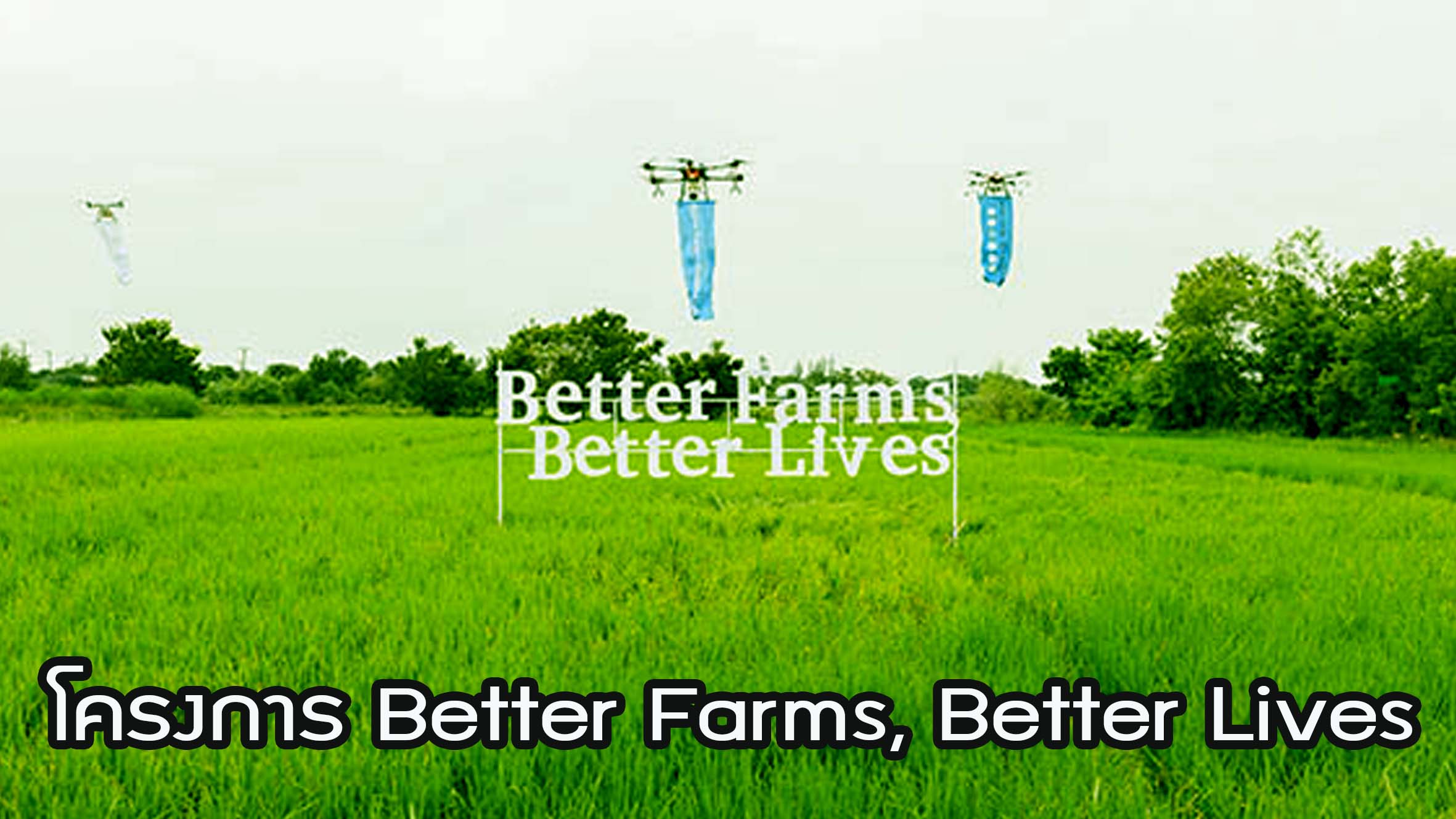 โครงการ Better Farms, Better Lives ช่วยชาวนา สู่ชีวิตวิถีใหม่ด้านการเกษตร ห่วงใยสุขภาพและสิ่งแวดล้อม