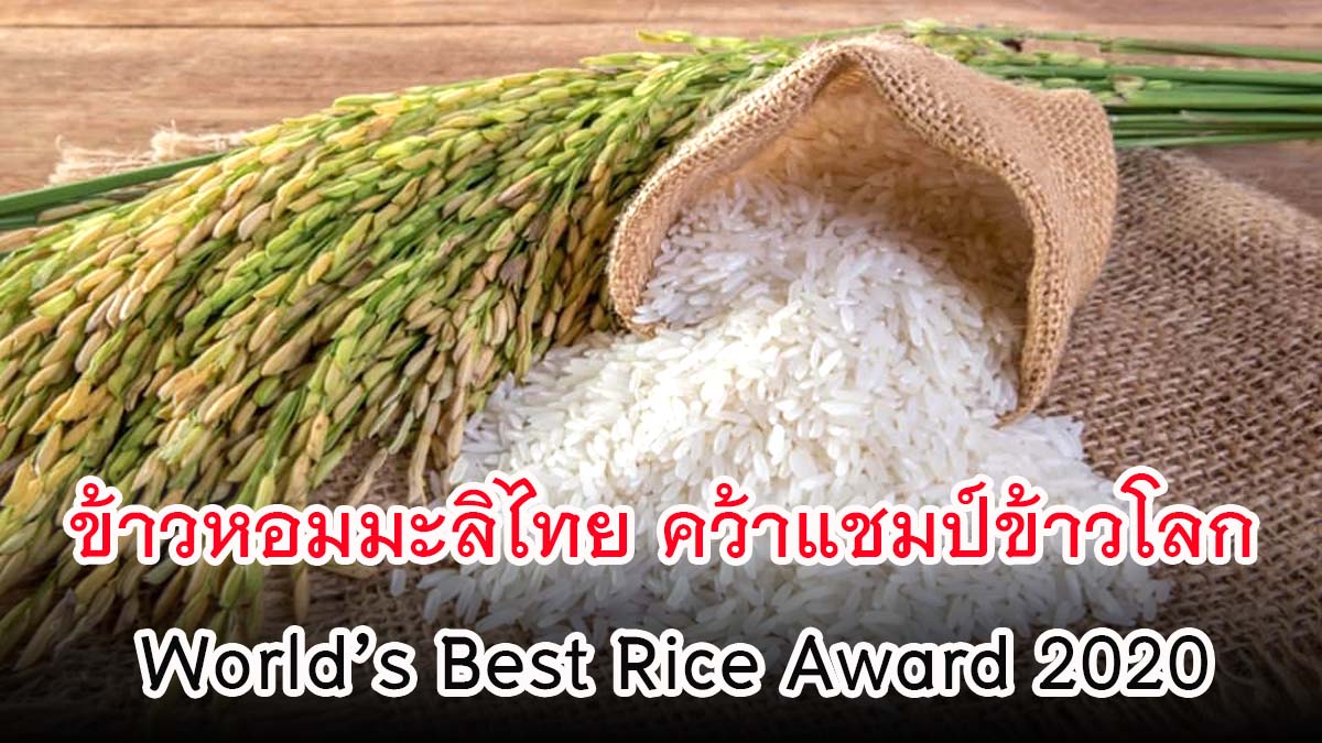 "ข้าวหอมมะลิไทย" คว้าแชมป์ข้าวโลก World’s Best Rice Award 2020