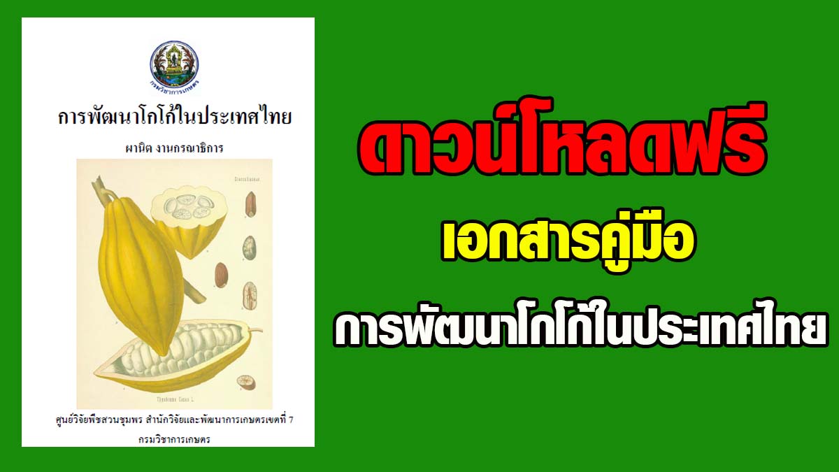 ดาวน์โหลดฟรี !! เอกสาร "การพัฒนาโกโก้ในประเทศไทย" ถ้าอยากปลูกโกโก้ต้องศึกษาก่อน