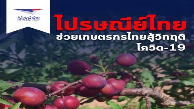 ไปรษณีย์ไทย ช่วยเกษตรกรไทยสู้วิกฤติโควิด-19