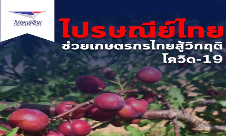 ไปรษณีย์ไทย ช่วยเกษตรกรไทยสู้วิกฤติโควิด-19
